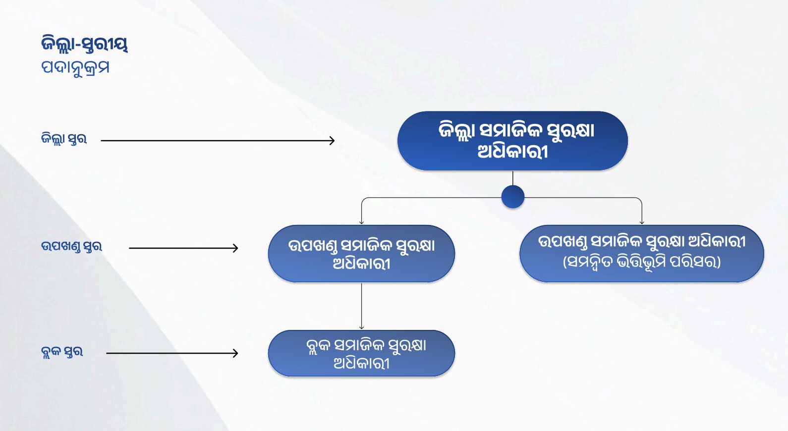 District Level